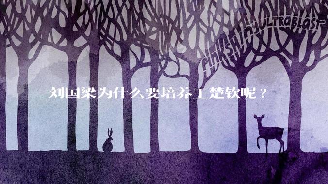 刘国梁为什么要培养王楚钦呢?
