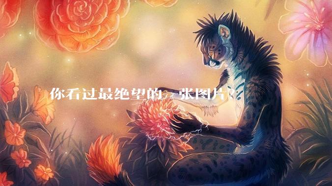 你看过最绝望的一张图片？
