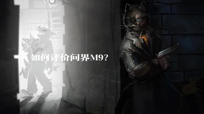 如何评价问界M9？