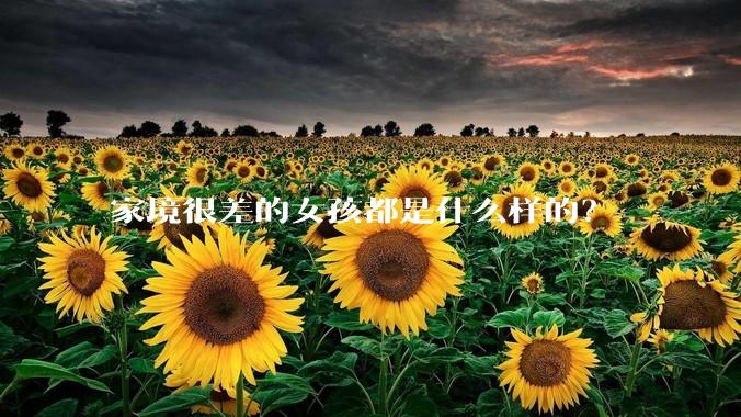 家境很差的女孩都是什么样的？