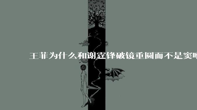 王菲为什么和谢霆锋破镜重圆而不是窦唯？