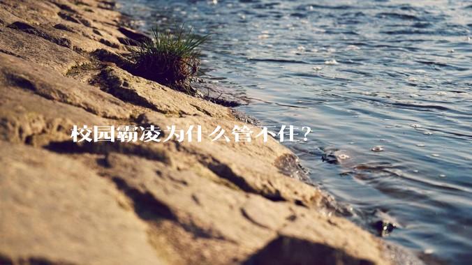 校园霸凌为什么管不住？