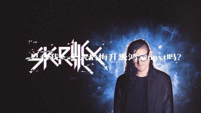 只有我一个人后悔升级鸿蒙next吗？