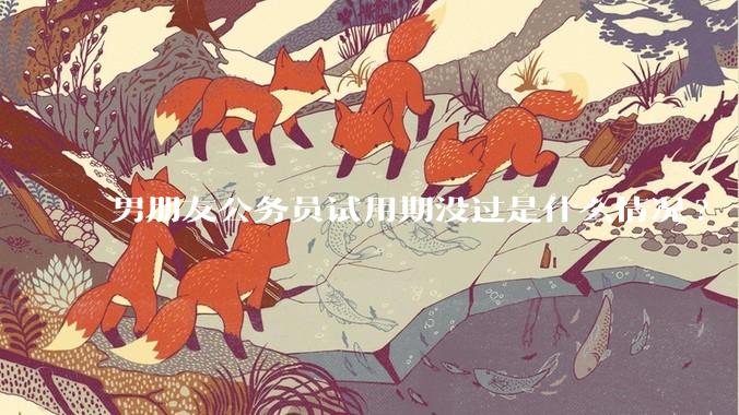 男朋友公务员试用期没过是什么情况?