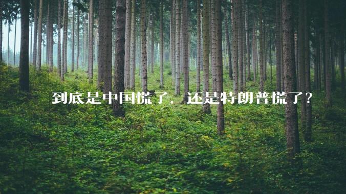 到底是中国慌了，还是特朗普慌了？