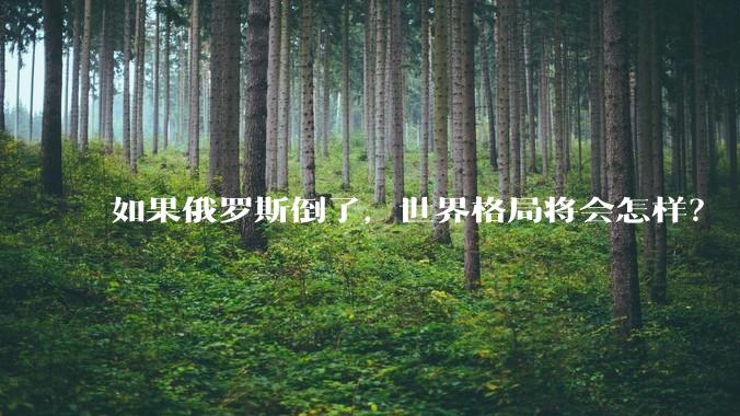如果俄罗斯倒了，世界格局将会怎样？