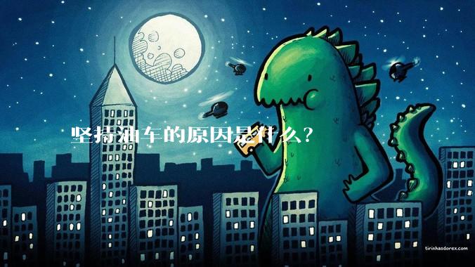 坚持油车的原因是什么？