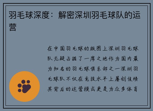 羽毛球深度：解密深圳羽毛球队的运营