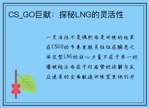 CS_GO巨献：探秘LNG的灵活性
