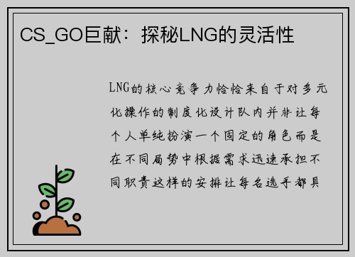 CS_GO巨献：探秘LNG的灵活性