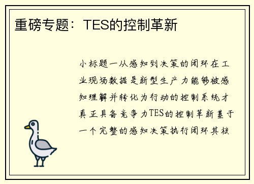 重磅专题：TES的控制革新